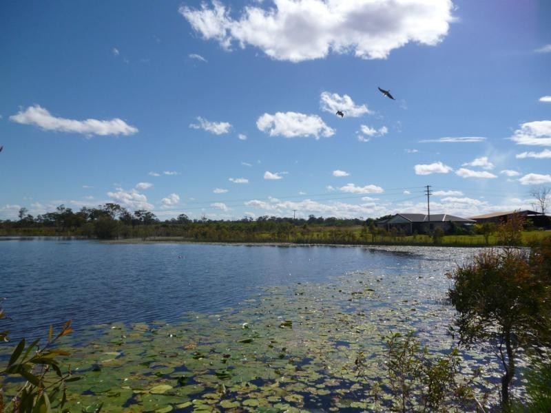 5 Wollombi Place, Elliot, Elliott QLD 4670
