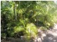Bucca QLD 4670