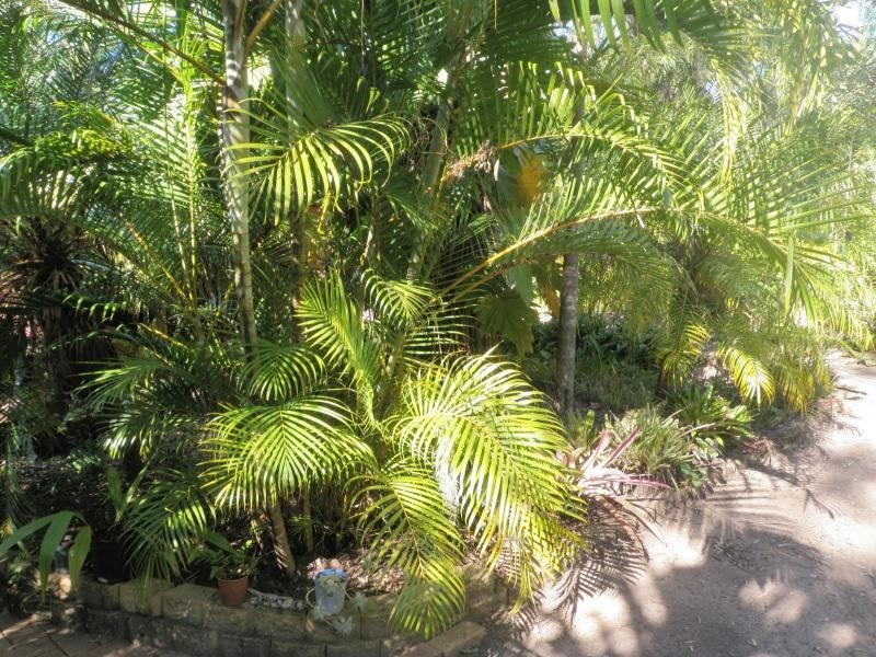 Bucca QLD 4670
