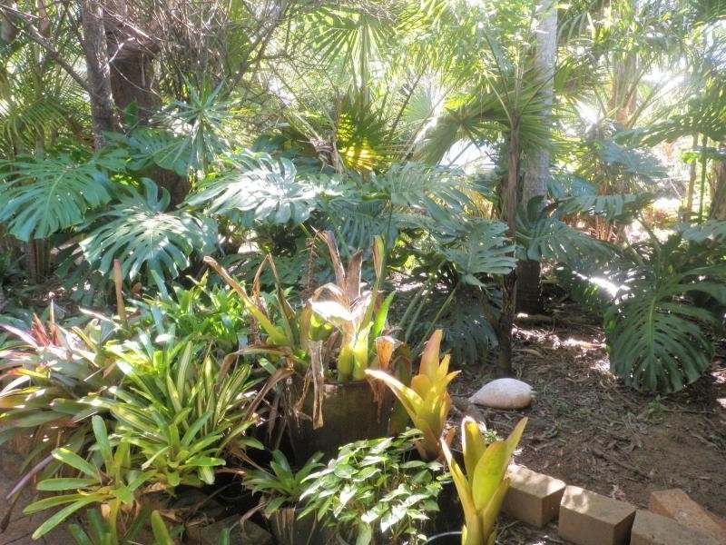 Bucca QLD 4670