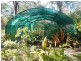 Bucca QLD 4670