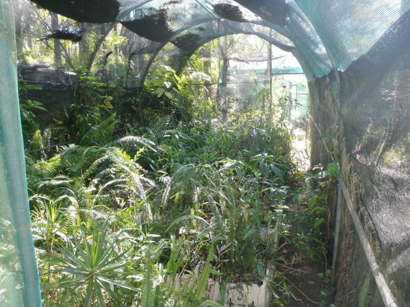 Bucca QLD 4670