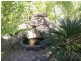 Bucca QLD 4670