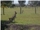 Branyan QLD 4670