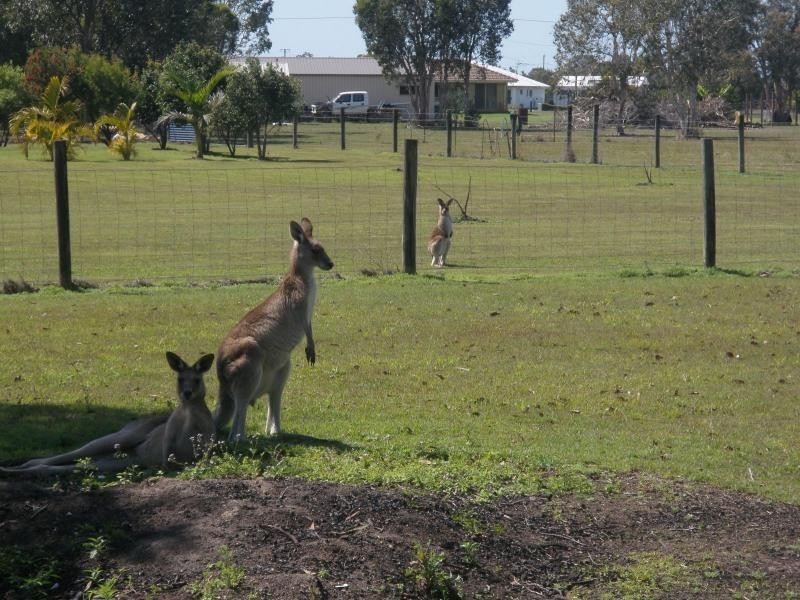 Branyan QLD 4670