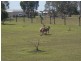 Branyan QLD 4670