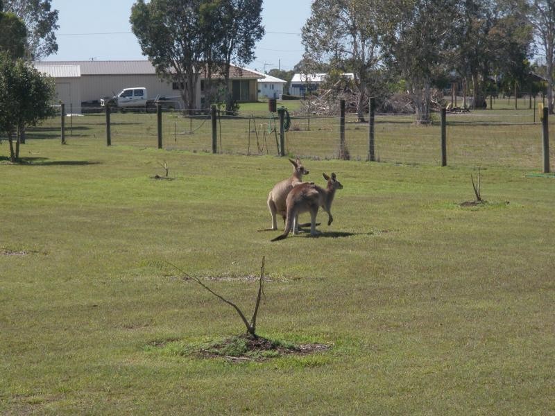 Branyan QLD 4670