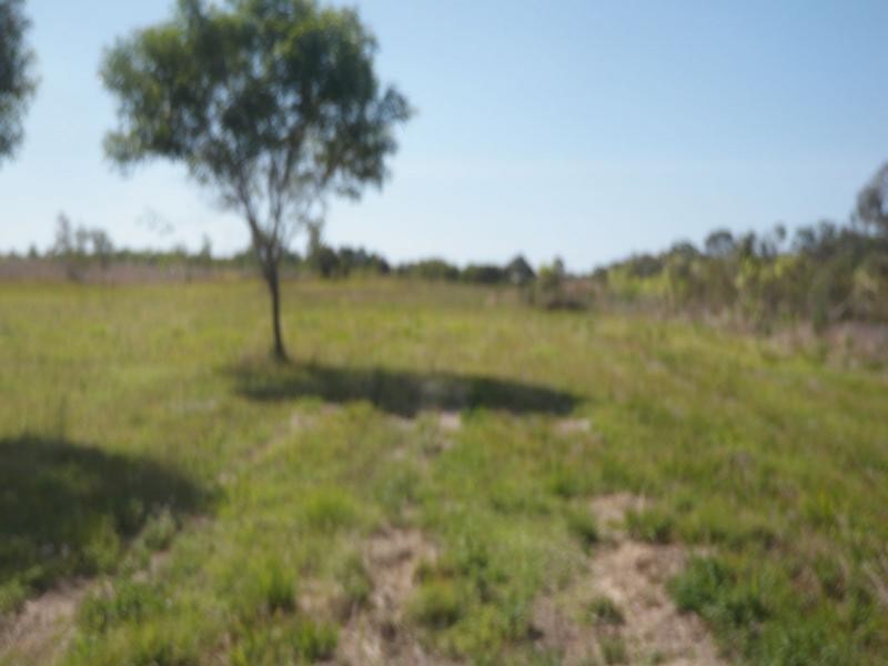 218 Bayliss Road, Sharon QLD 4670