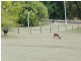 149 Thompson Road, Childers QLD 4660