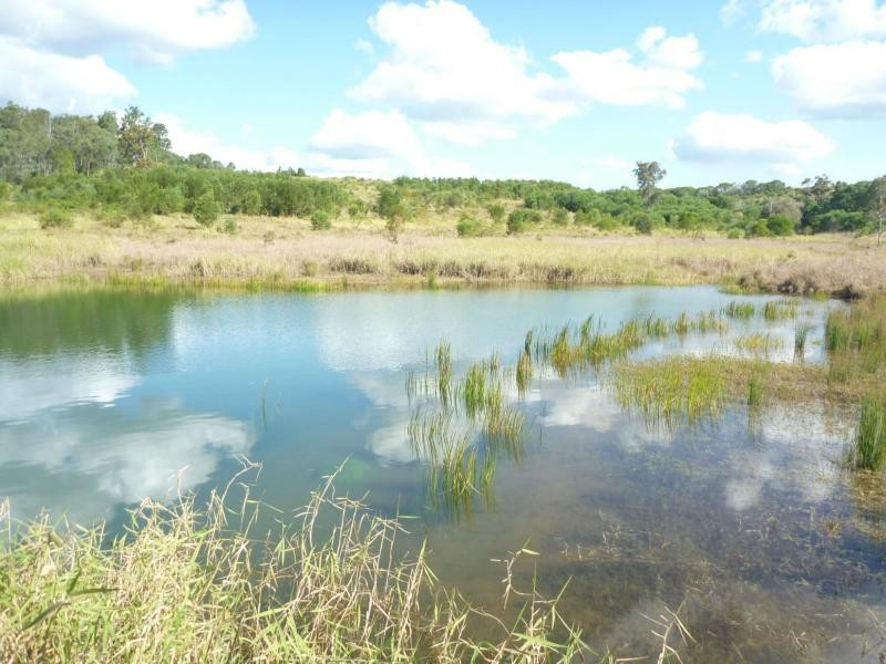 188 Abington Road, Abington QLD 4660