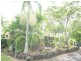 South Isis QLD 4660