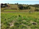 11 ATC Hall Road, Apple Tree Creek QLD 4660