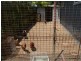 41 Fairymead Road, Bundaberg QLD 4670