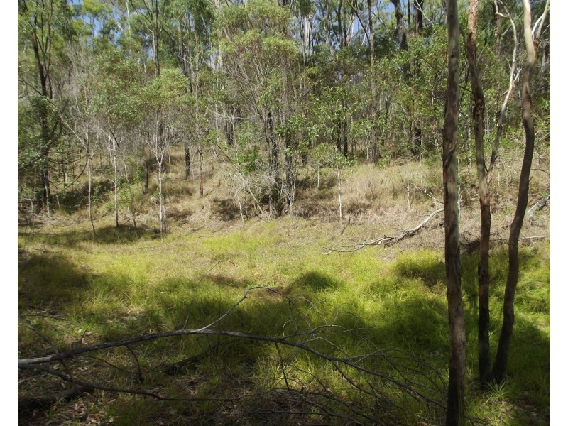 553 BERRIES Road, Kullogum QLD 4660