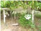 Isis Central QLD 4660