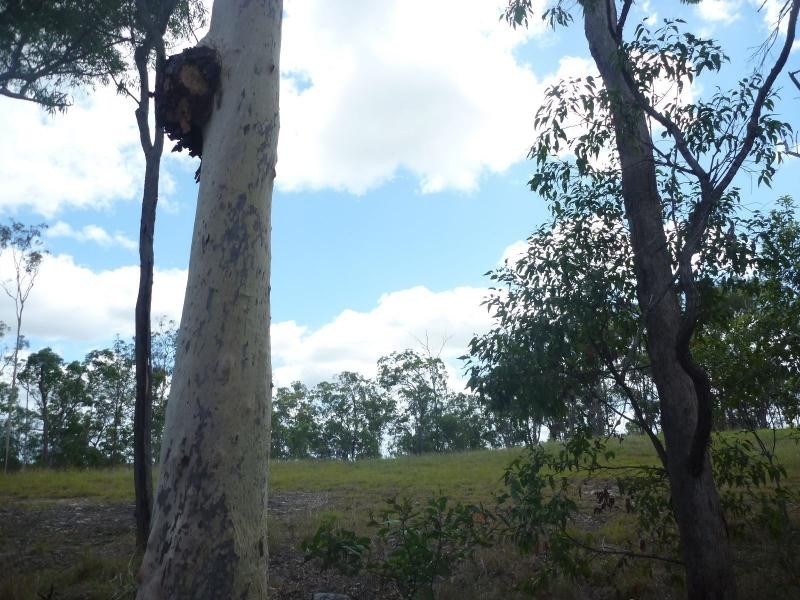 66 CHAPPELL HILLS Road, Childers, South Isis QLD 4660