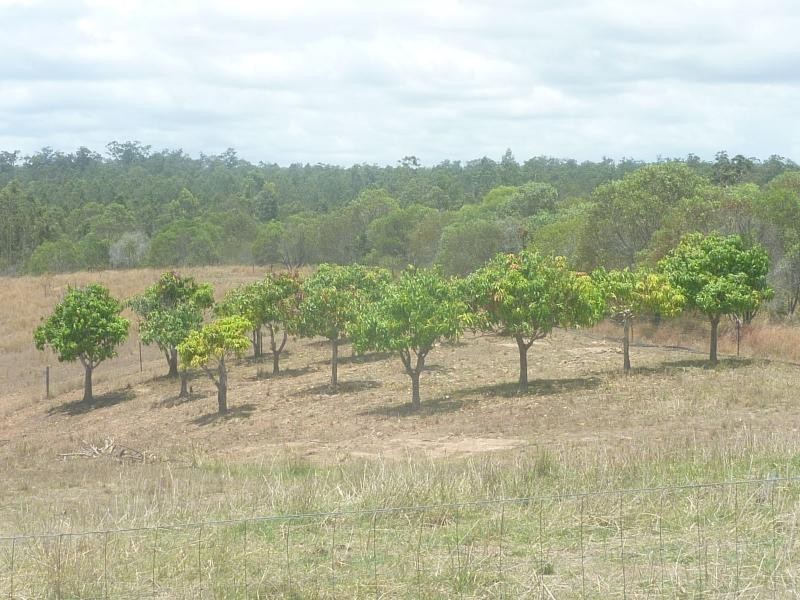 785 Rainbows Road, Kullogum QLD 4660