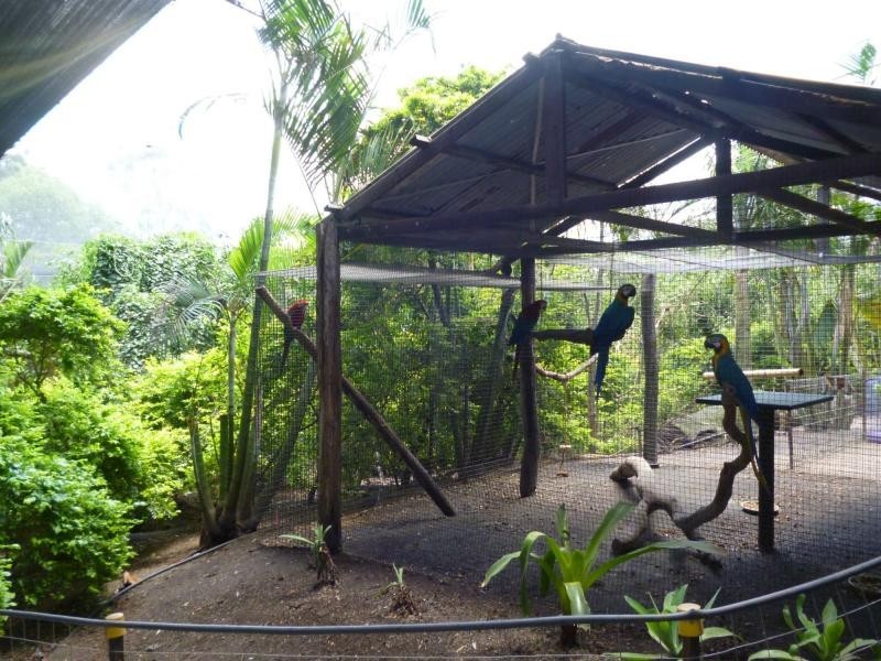 Apple Tree Creek QLD 4660