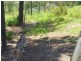 Apple Tree Creek QLD 4660