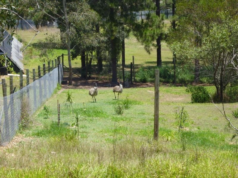 Apple Tree Creek QLD 4660