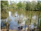Apple Tree Creek QLD 4660