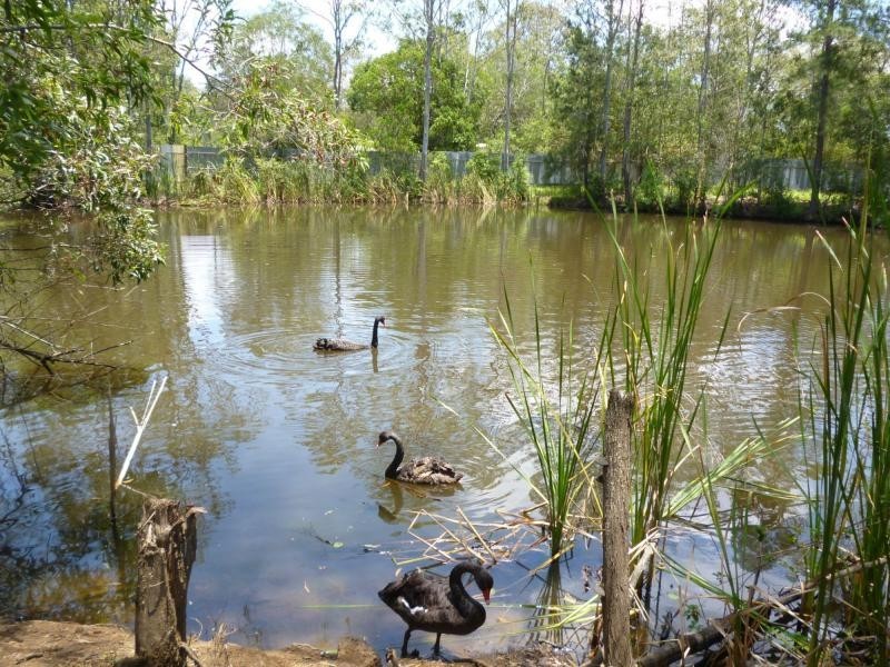 Apple Tree Creek QLD 4660