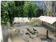 Apple Tree Creek QLD 4660