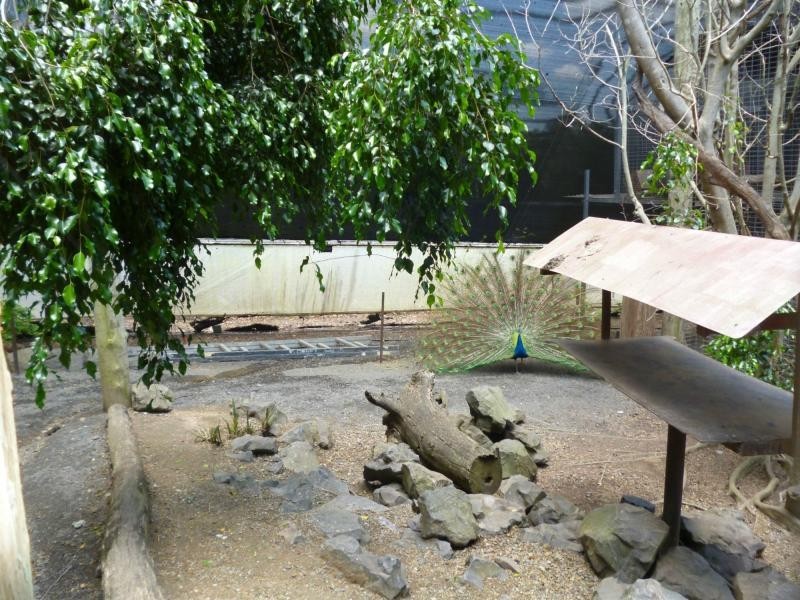 Apple Tree Creek QLD 4660