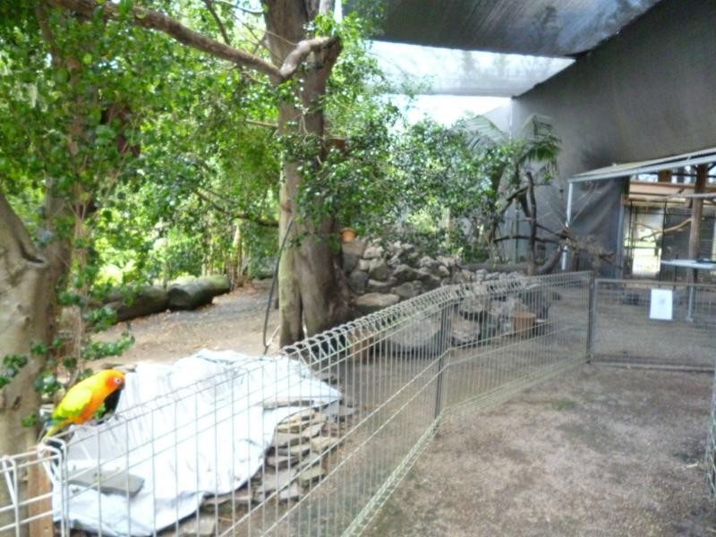 Apple Tree Creek QLD 4660