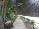 Apple Tree Creek QLD 4660
