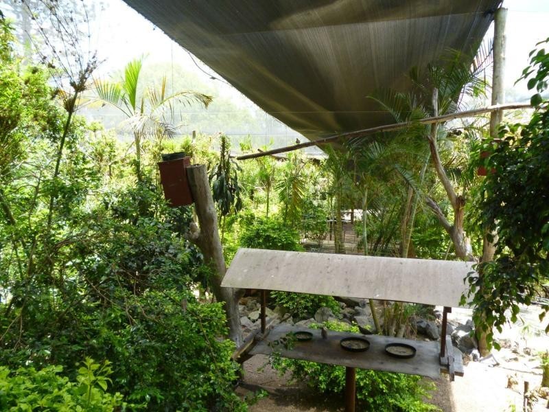 Apple Tree Creek QLD 4660