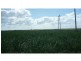 Farnsfield QLD 4660