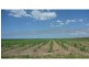 Farnsfield QLD 4660