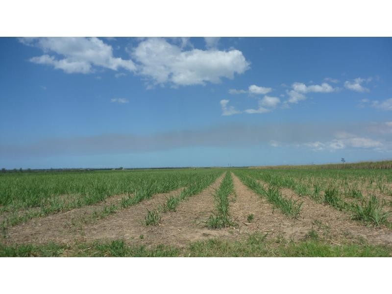 Farnsfield QLD 4660