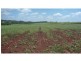 North Isis QLD 4660