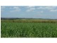 North Isis QLD 4660