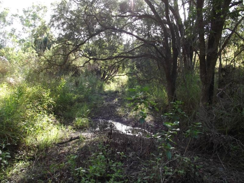 Coringa QLD 4621