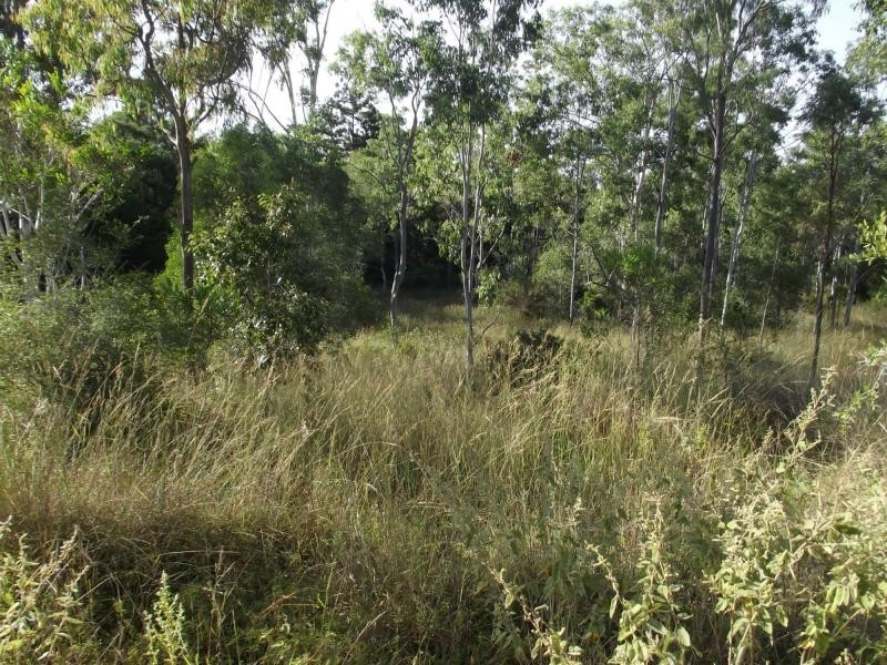 Coringa QLD 4621