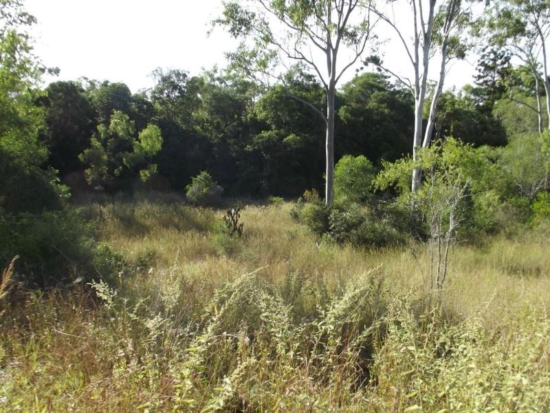 Coringa QLD 4621
