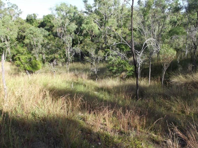 Coringa QLD 4621