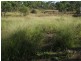 Coringa QLD 4621