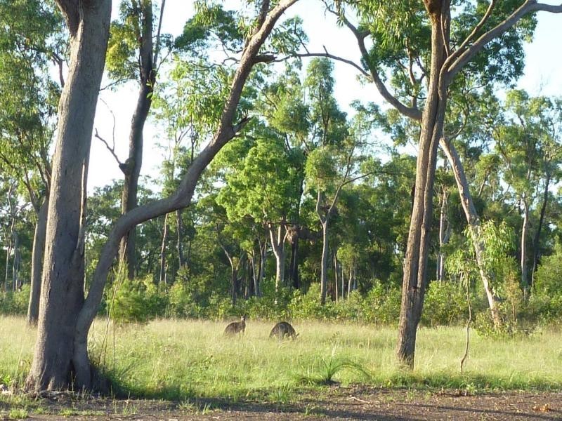 24 Windsong Avenue, Redridge QLD 4660