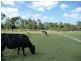 Sharon QLD 4670