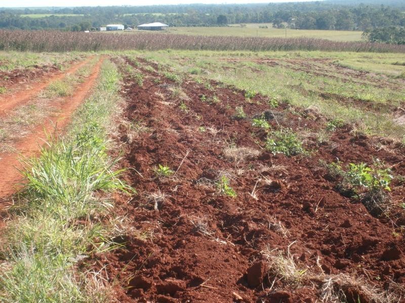 Childers QLD 4660