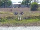 1032 GOOROOLBA Road, Degilbo QLD 4621