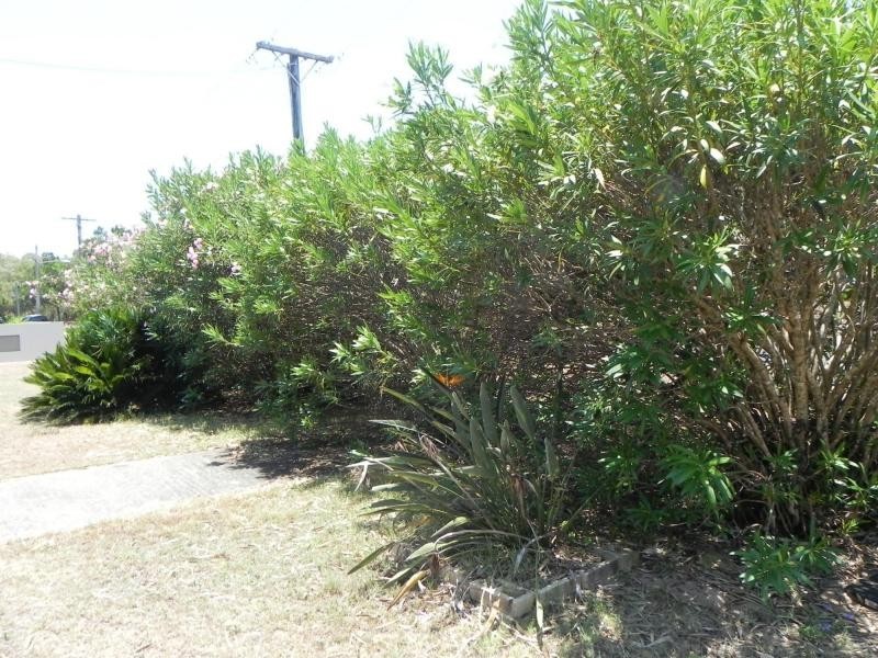 Woodgate QLD 4660