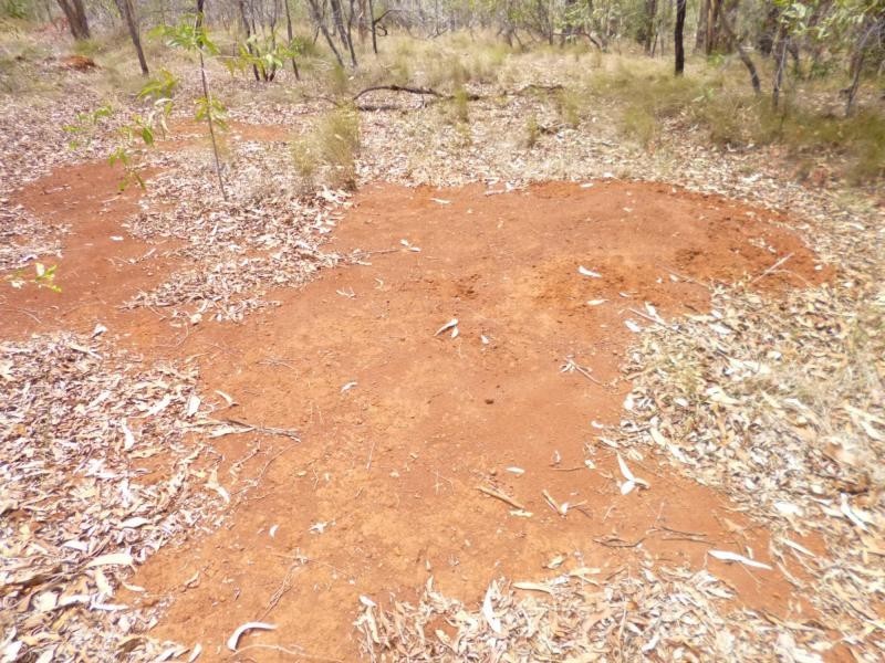 Childers QLD 4660