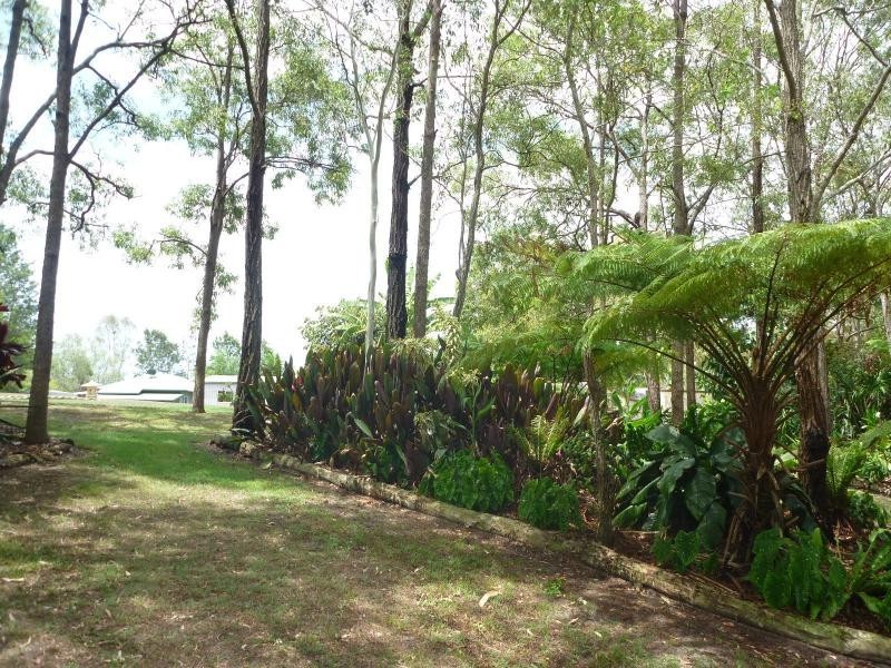 40 Palm Springs Drive, Calavos QLD 4670