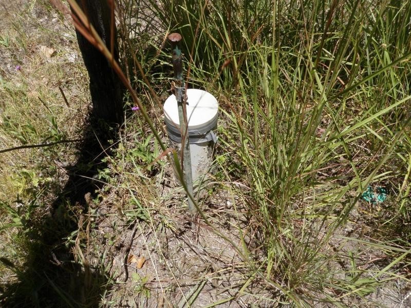 Moolboolaman QLD 4671