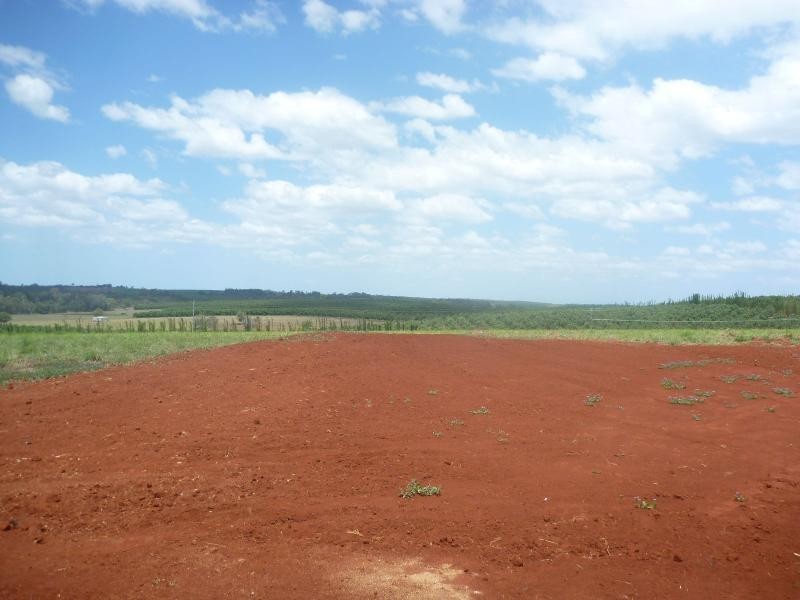 89 Gorries Road, North Isis QLD 4660